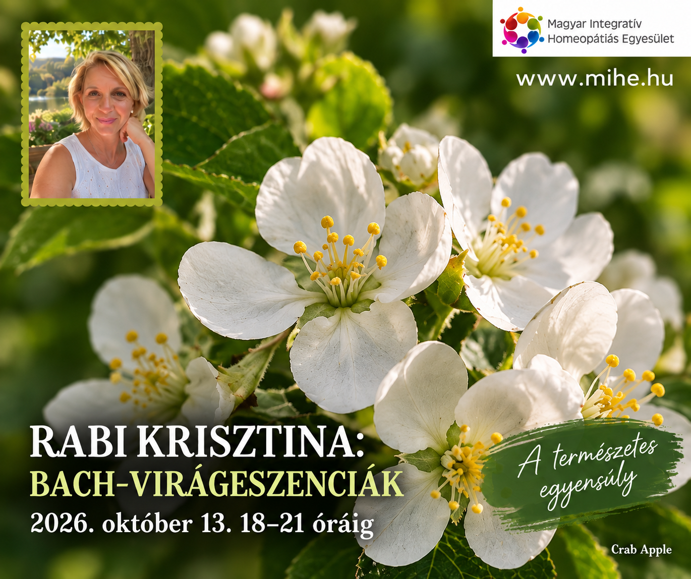 Rabi Krisztina: Bach-virágeszenciák KÜLSŐS JEGY!